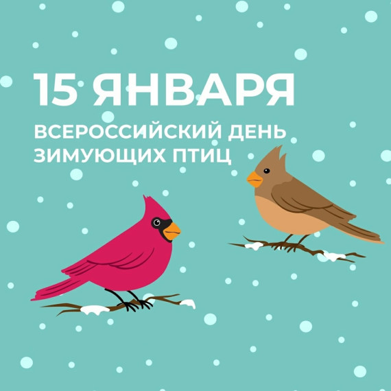 День зимующих птиц России.